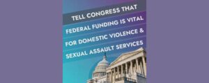 Day of Action for FVPSA and VAWA