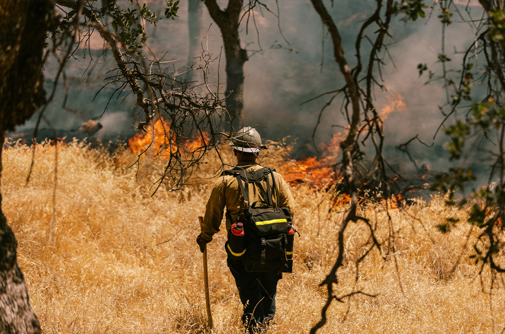 Crisis Within Crisis: IPV and Climate-Related Disasters