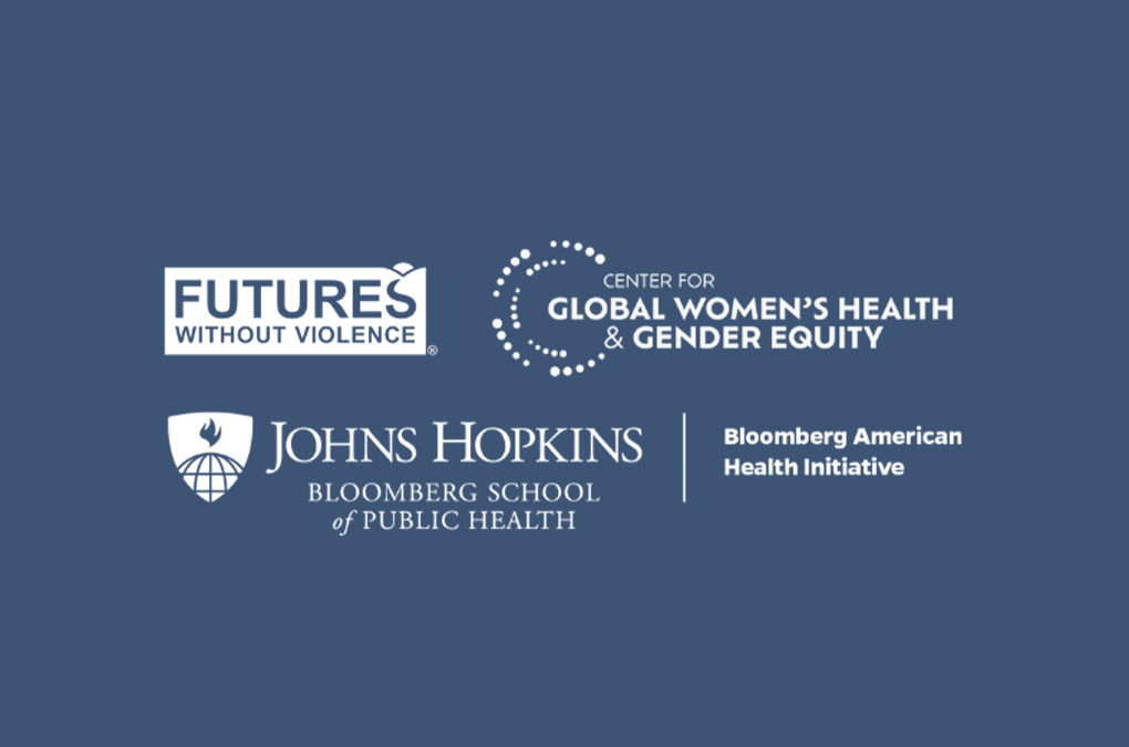 IPV and Health Research Roundtable