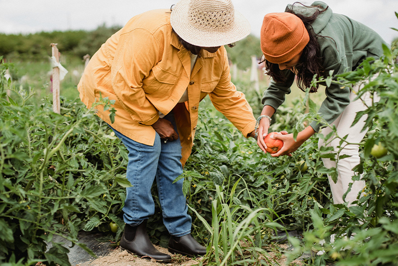 Salud, Sanación y Relaciones Saludables (Health, Healing, and Healthy Relationships)