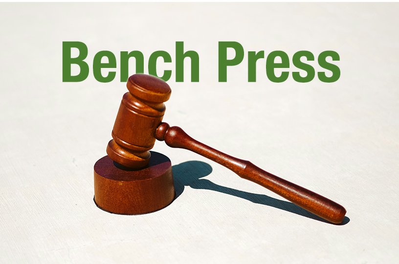 Guardianship and the Fragile Promise of Protection