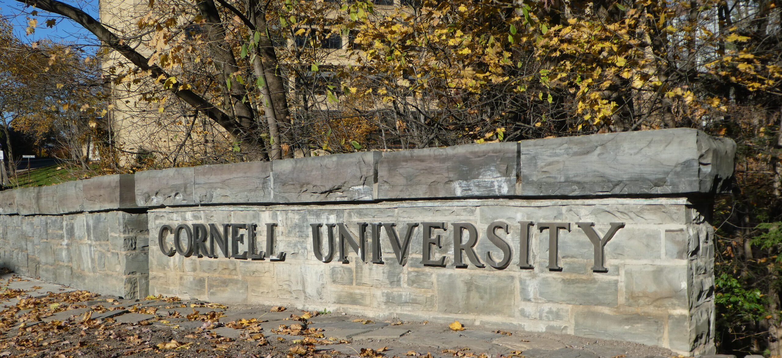 What Happened at Cornell Is Not Inevitable
